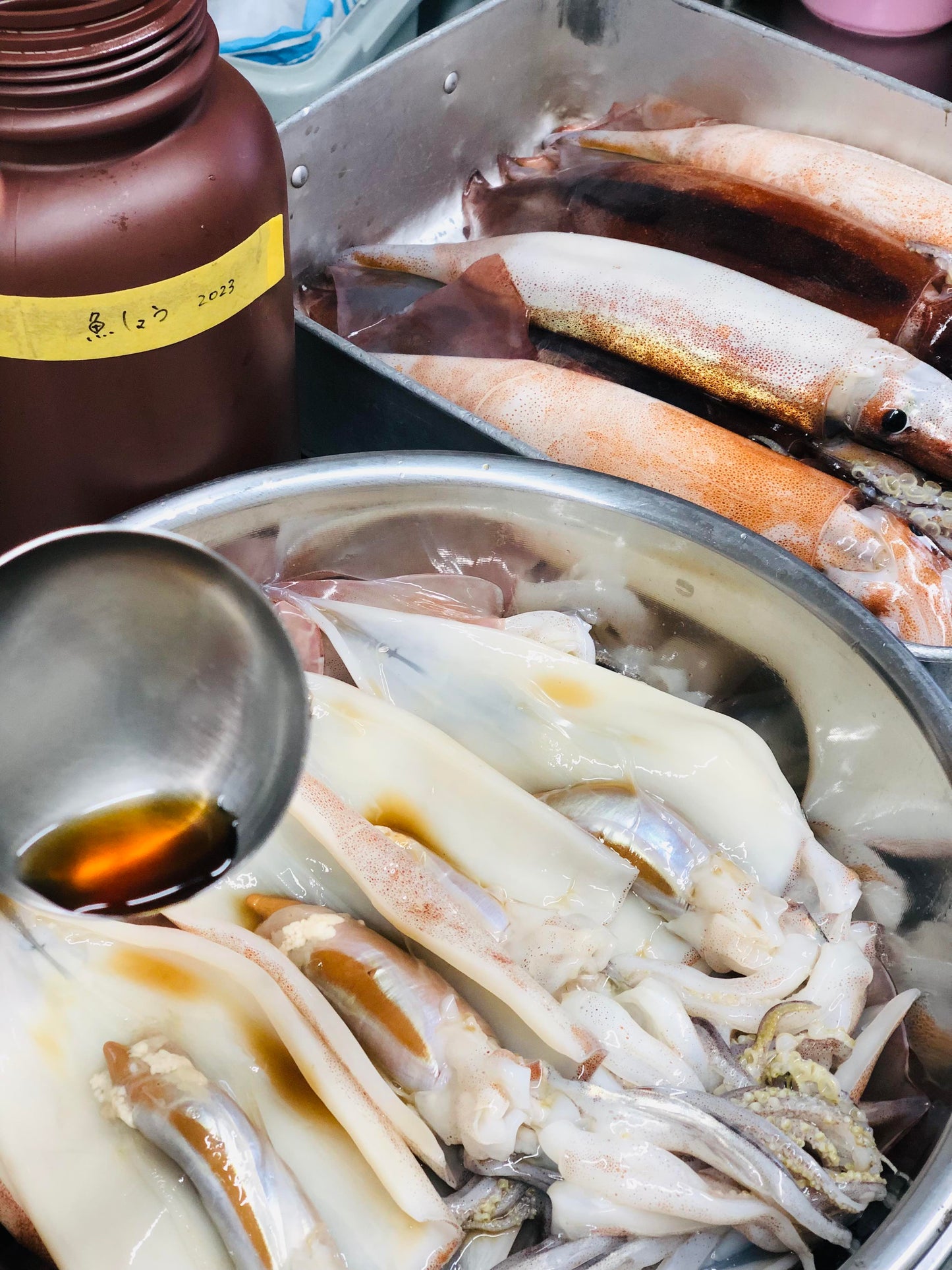 ◉人気!予約販売 まるごと肝付きスルメイカ一夜干し3枚 自家製魚醤仕込み ※3月以降発送予定 ※送料込み商品