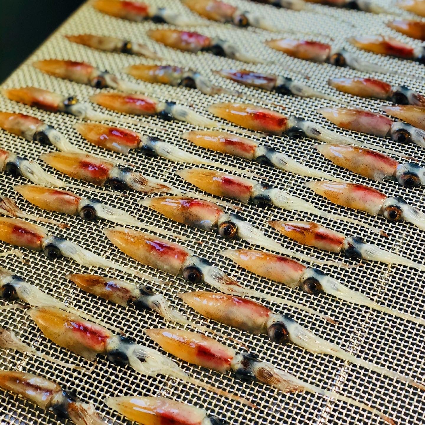 ◉富山ホタルイカの燻製 お得な6pcセット 燻したてを冷凍発送します!9月下旬より製造発送 人気商品