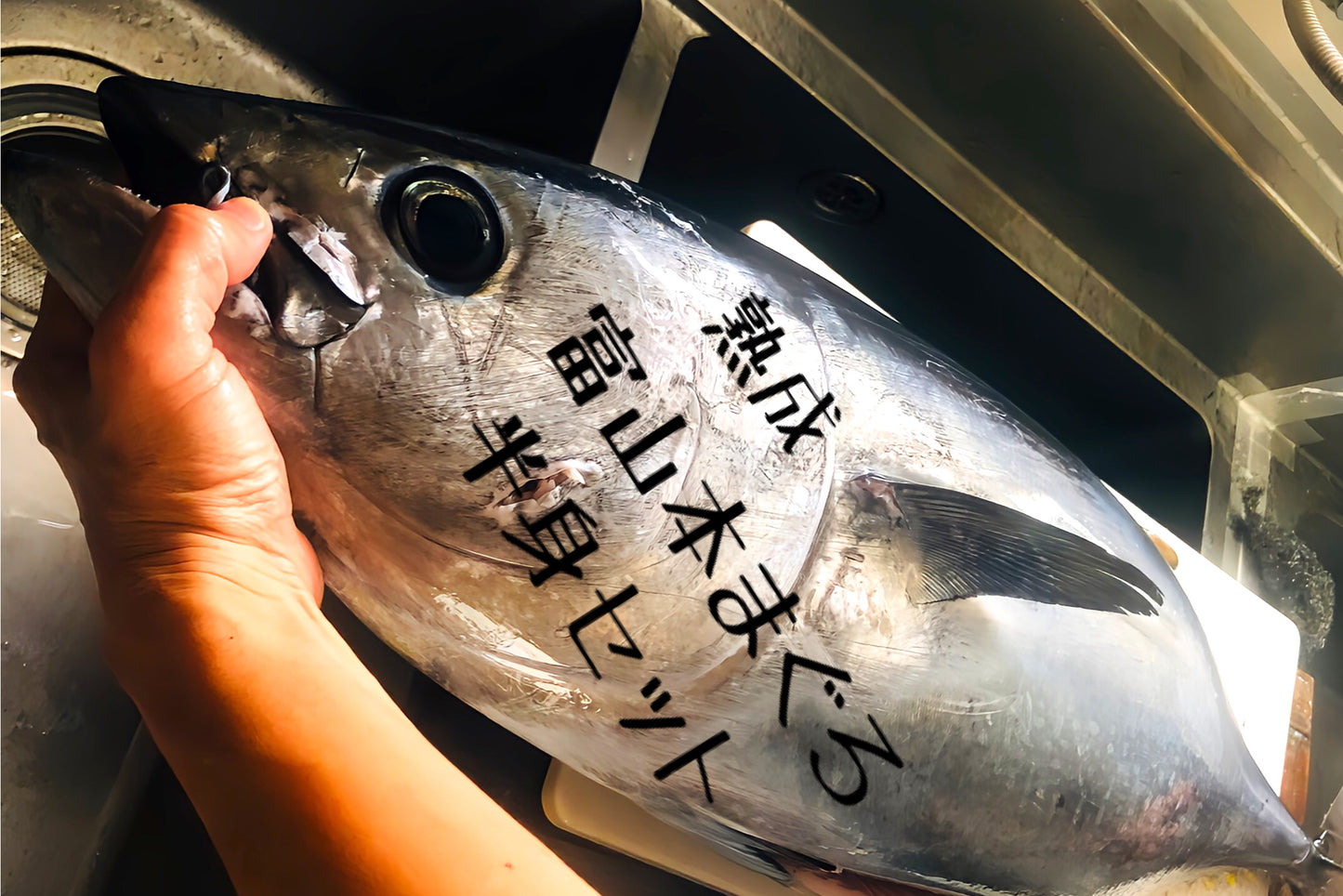 ◉富山の天然夏マグロ 小ぶりな半身まるごとセット(4分割・皮付)カマおまけ付 冷凍セット 全体量約3000g