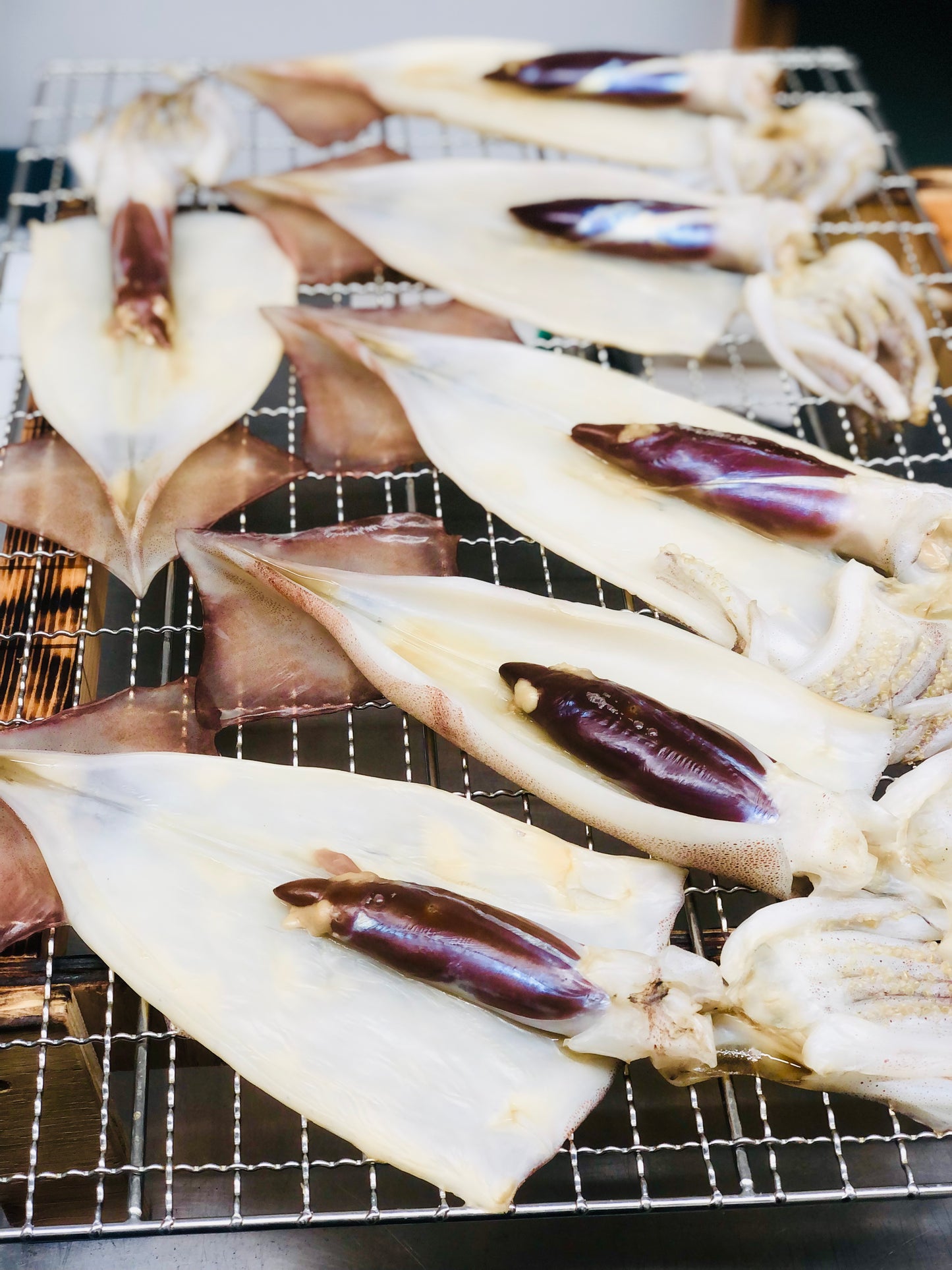 ◉人気!予約販売 まるごと肝付きスルメイカ一夜干し3枚 自家製魚醤仕込み ※3月以降発送予定 ※送料込み商品