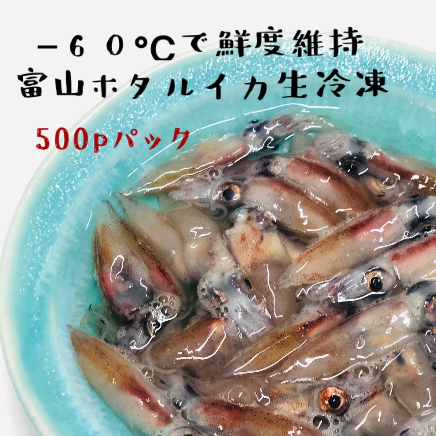 ◉富山ホタルイカ生冷凍 たっぷり500gパック マイナス60℃冷凍品 海洋深層水洗浄済み