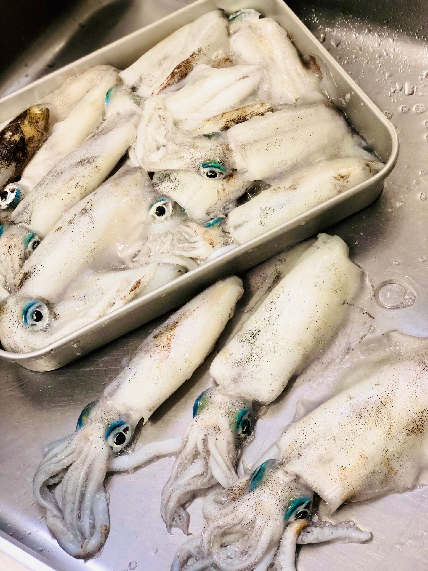 ◉10月〜旬です!イカの王様!アオリイカ自家製魚醤干し3枚(中小ミックス) 釣りもの 肝付仕上げ −60℃冷凍