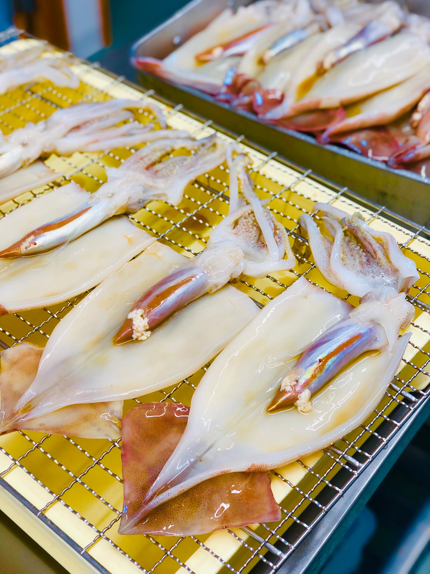 ◉人気!予約販売 まるごと肝付きスルメイカ一夜干し3枚 自家製魚醤仕込み ※3月以降発送予定 ※送料込み商品
