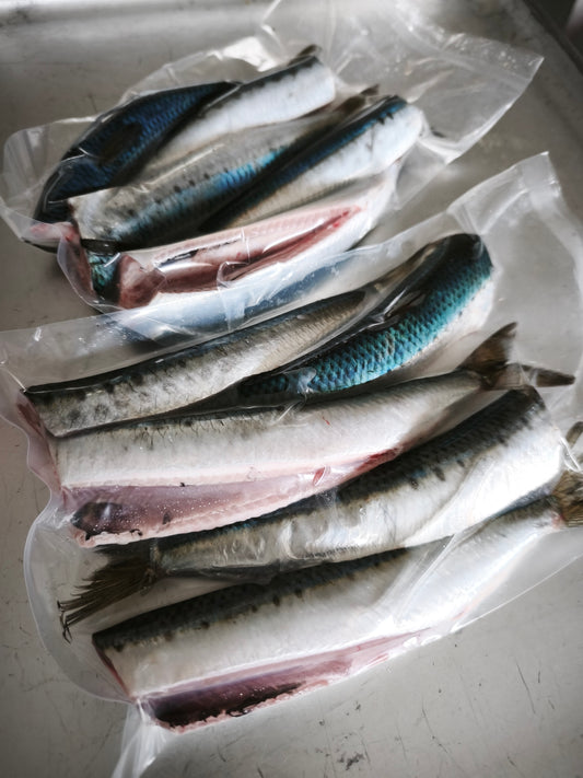 ◉旬です 春の生イワシ!5尾入 海洋深層水にて下処理 お刺身にも! 頭と内臓外して−60℃冷凍から発送!