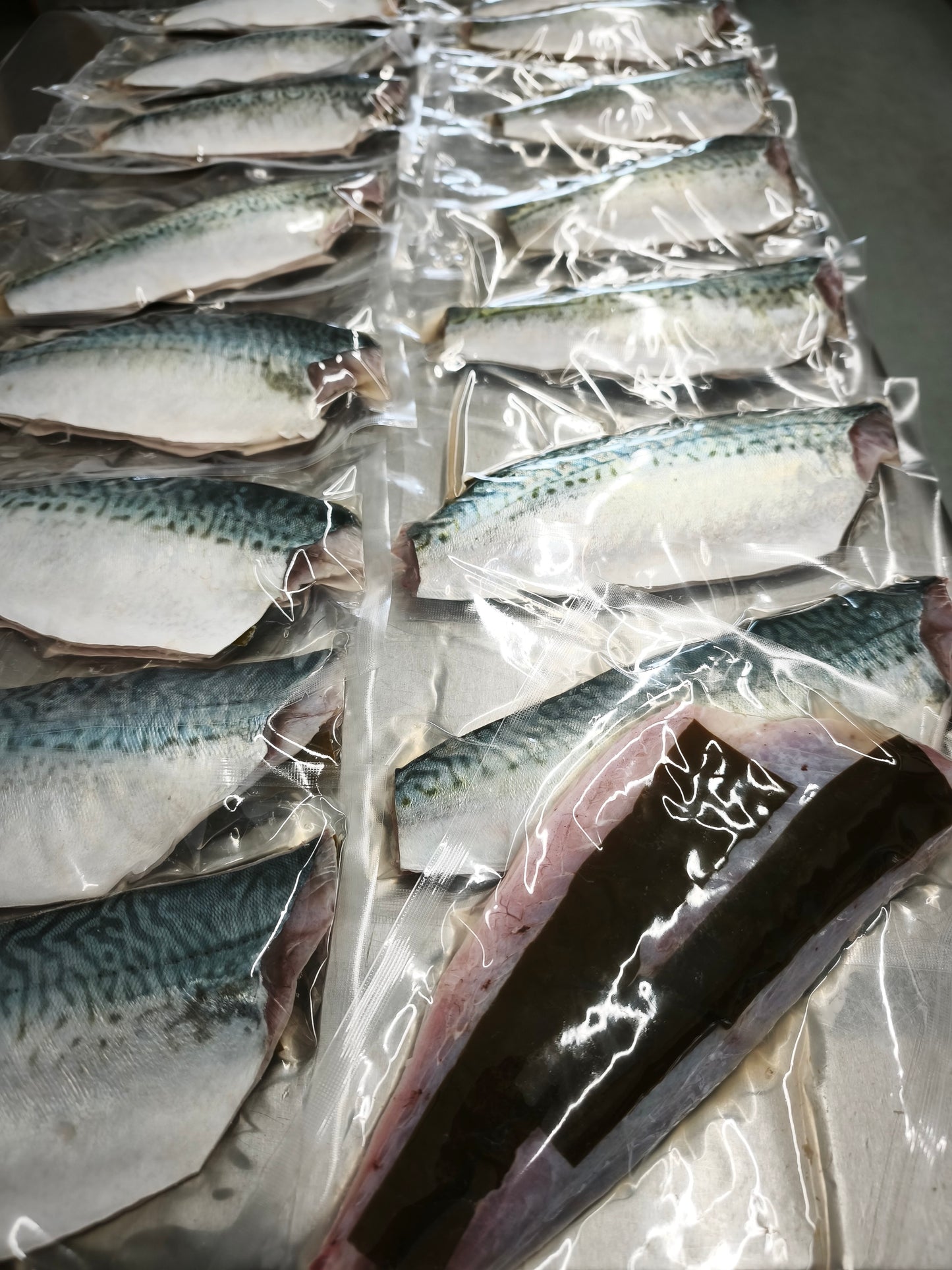 ◉おすすめ!今が旬です。朝獲れサバの昆布〆サバ 半身3pcセット 大中サイズ 鮮度を感じるお刺身感覚の浅〆のしめ鯖です