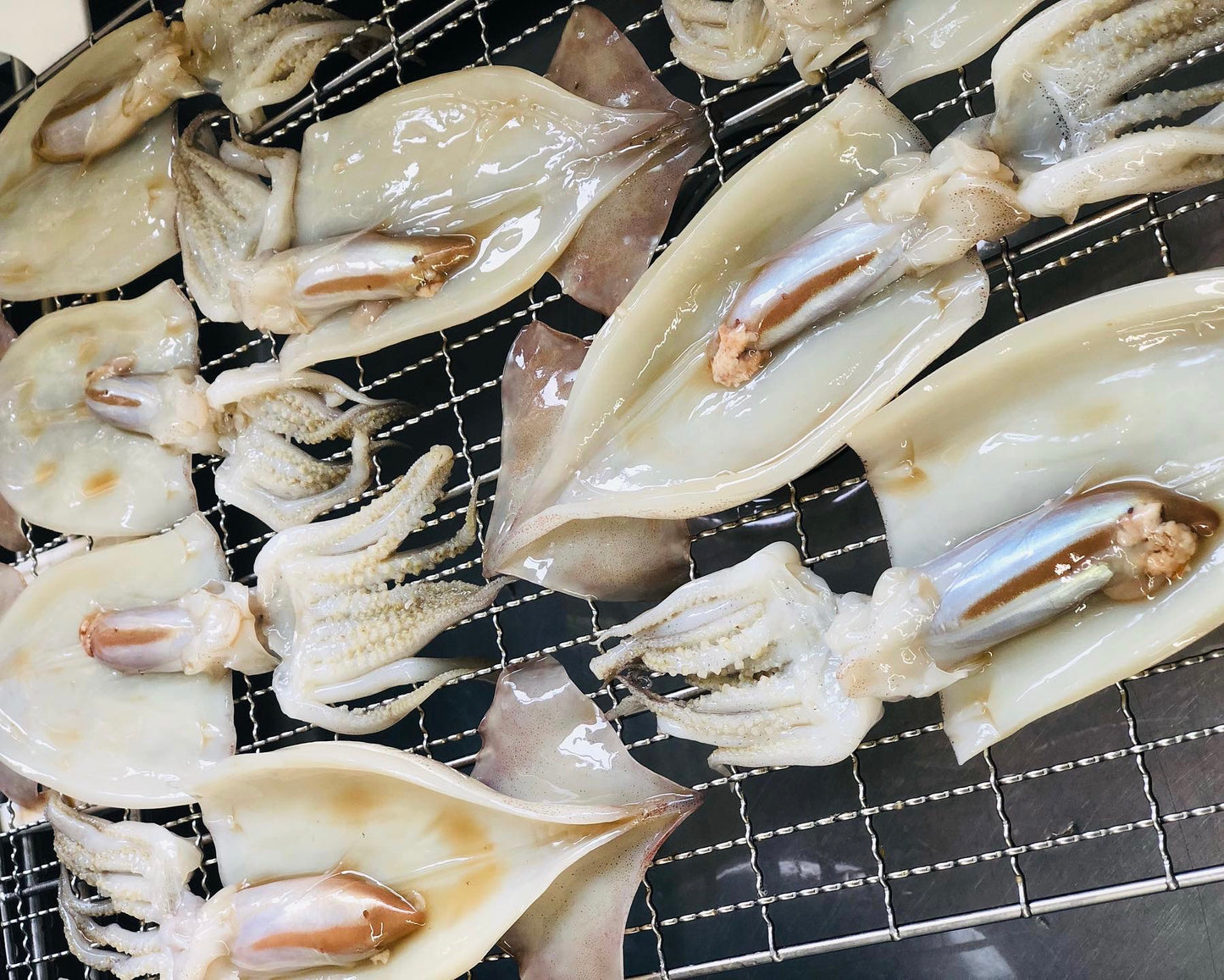 ◉人気!予約販売 まるごと肝付きスルメイカ一夜干し3枚 自家製魚醤仕込み ※3月以降発送予定 ※送料込み商品