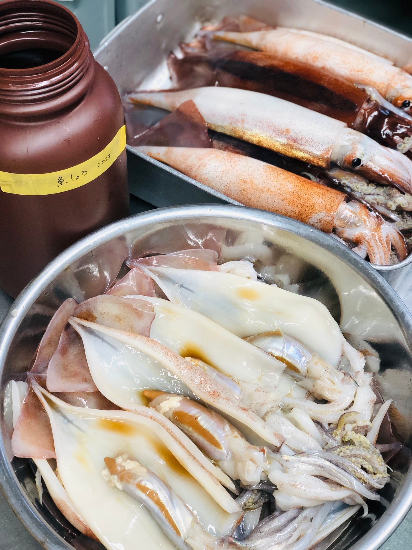 ◉人気!予約販売 まるごと肝付きスルメイカ一夜干し3枚 自家製魚醤仕込み ※3月以降発送予定 ※送料込み商品