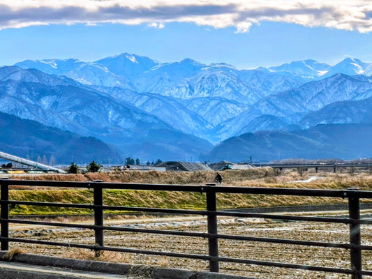 良き年末年始をお過ごしください！