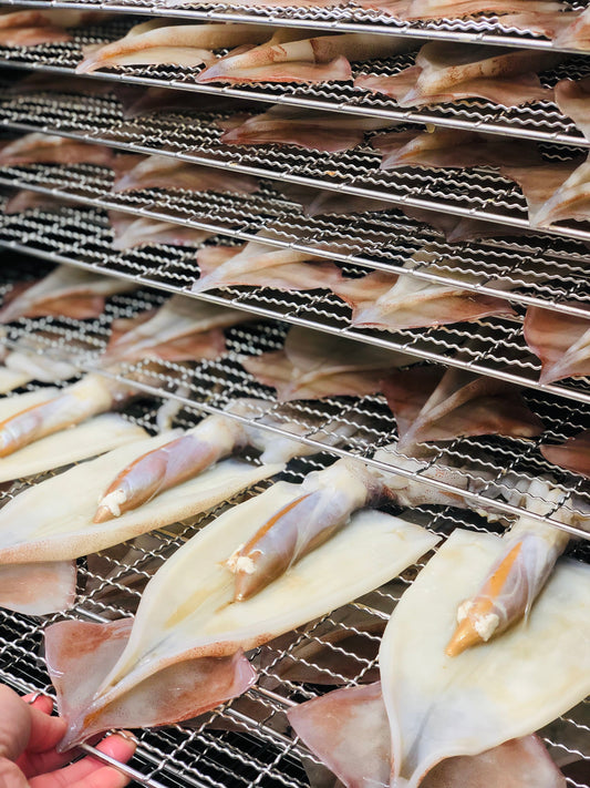 【大切なお知らせ】「肝付スルメイカ自家製魚醤干し」の発送状況とお詫び（5/1）