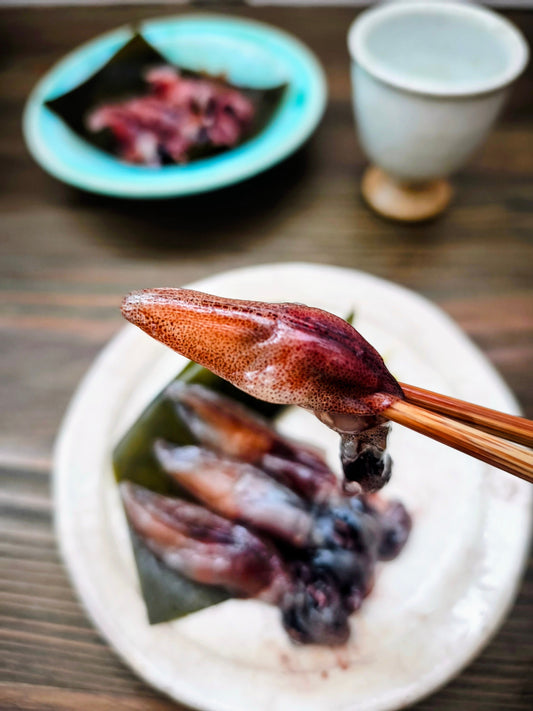 イチオシ旬の昆布じめ！ホタルイカ！獲れたて朝仕込み！