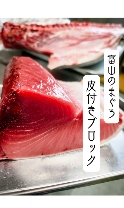 ◉おすすめ！今が旬です　富山の夏の本まぐろ皮付きブロック　腹と背の2部位セット　たっぷり1600g以上
