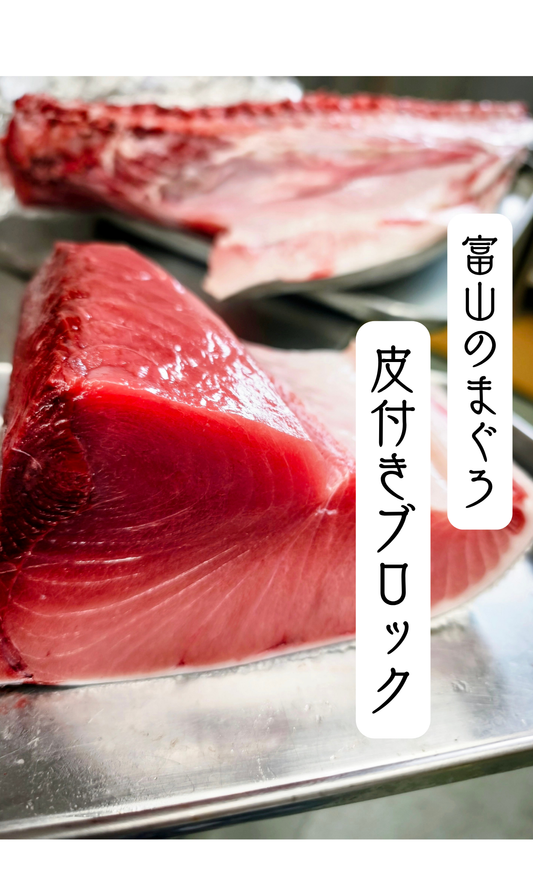 ◉おすすめ！今が旬です　富山の夏の本まぐろ皮付きブロック　腹と背の2部位セット　たっぷり1500g以上