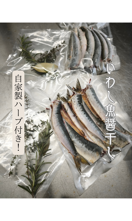 ◉おすすめ！朝獲れ　春告イワシ魚醤干し　たっぷり250g×3pc   約20尾　中〜小サイズ　オイルサーディンにもおすすめ！