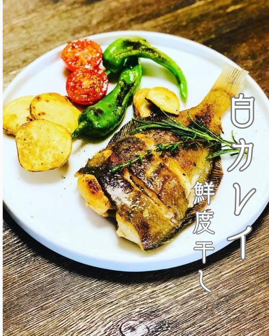 ◉おすすめ！白カレイの鮮度干し！海洋深層水で仕上げた干物。ムニエルやアクアパッツアにもおすすめです！大きめ2pc