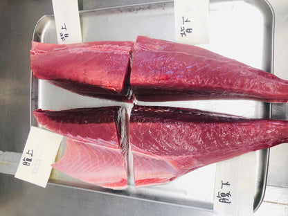 ◉富山の天然夏マグロ　小ぶりな半身まるごとセット（4分割・皮付）カマおまけ付　冷凍セット　全体量約3000g