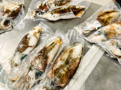 釣りたてをまるごと超低温冷凍　天然アオリイカ　大きさミックス3杯　合計800g以上　イカの王様！