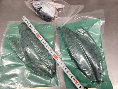 ◉鮮度が良いからこそのスマガツオ！上質な赤身　お刺身用　三枚おろしまるごと1尾分冷凍　600g〜 /1尾