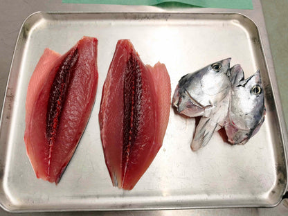 ◉鮮度が良いからこそのスマガツオ！上質な赤身　お刺身用　三枚おろしまるごと1尾分冷凍　600g〜 /1尾