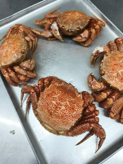 ◉人気！富山の湯上がり毛蟹さん！2〜3杯大きさミックス合計1kg〜  とれたて活毛蟹を〆て茹でてマイナス60℃で旨み閉じ込めました！