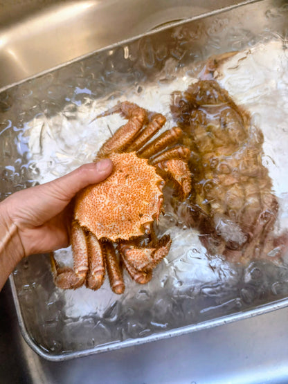 ◉人気！富山の湯上がり毛蟹さん！2〜3杯大きさミックス合計1kg〜  とれたて活毛蟹を〆て茹でてマイナス60℃で旨み閉じ込めました！