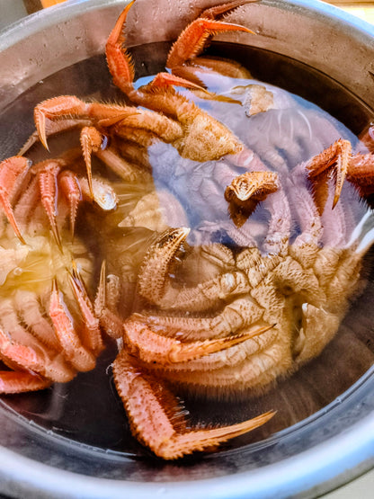 ◉人気！富山の湯上がり毛蟹さん！2〜3杯大きさミックス合計1kg〜  とれたて活毛蟹を〆て茹でてマイナス60℃で旨み閉じ込めました！
