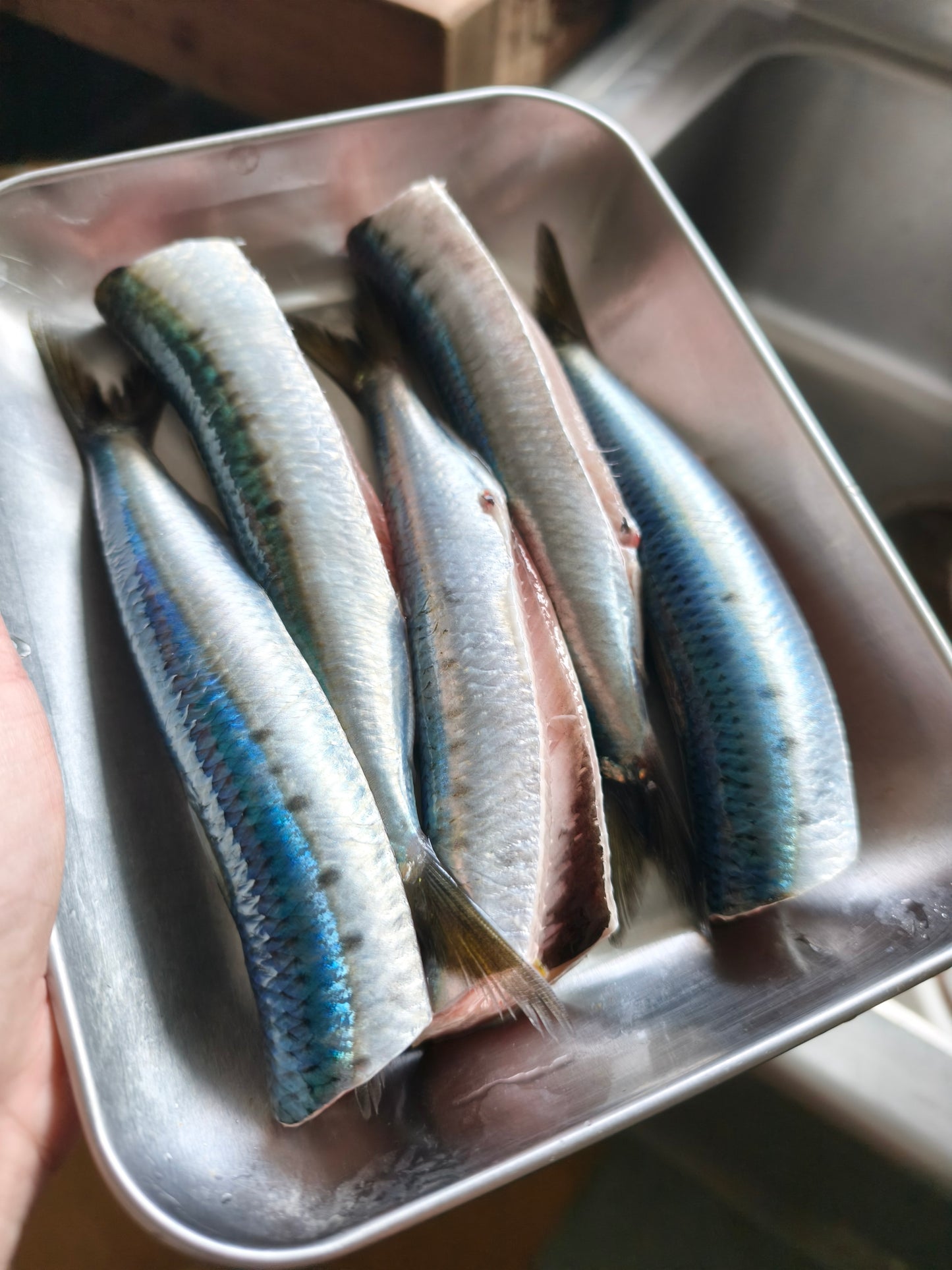 ◉おすすめ！旬です！海洋深層水〆！春の生イワシ5尾入　お刺身に！　獲れたてを頭と内臓外して−60℃冷凍！