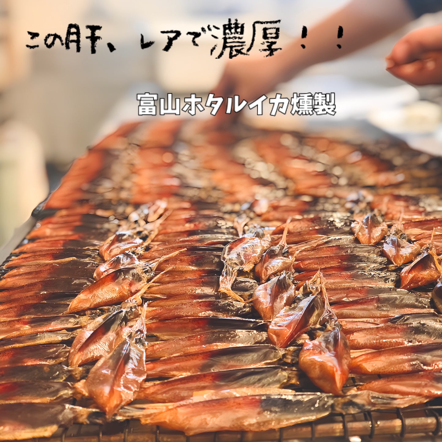 ◉いまだけお得な送料込み！父の日ギフト　富山ホタルイカ燻製3pc 出来立て冷蔵発送　※6月18日までの受注分→6月19日発送予定