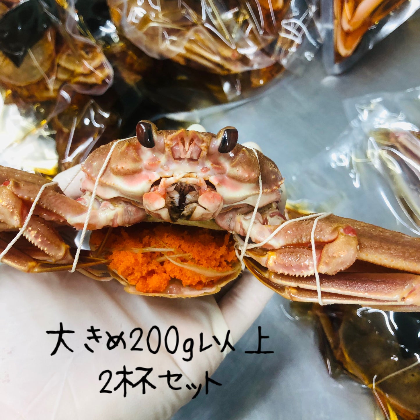 ◉生で食べる香箱ガニの船上漬け　大サイズ2杯　