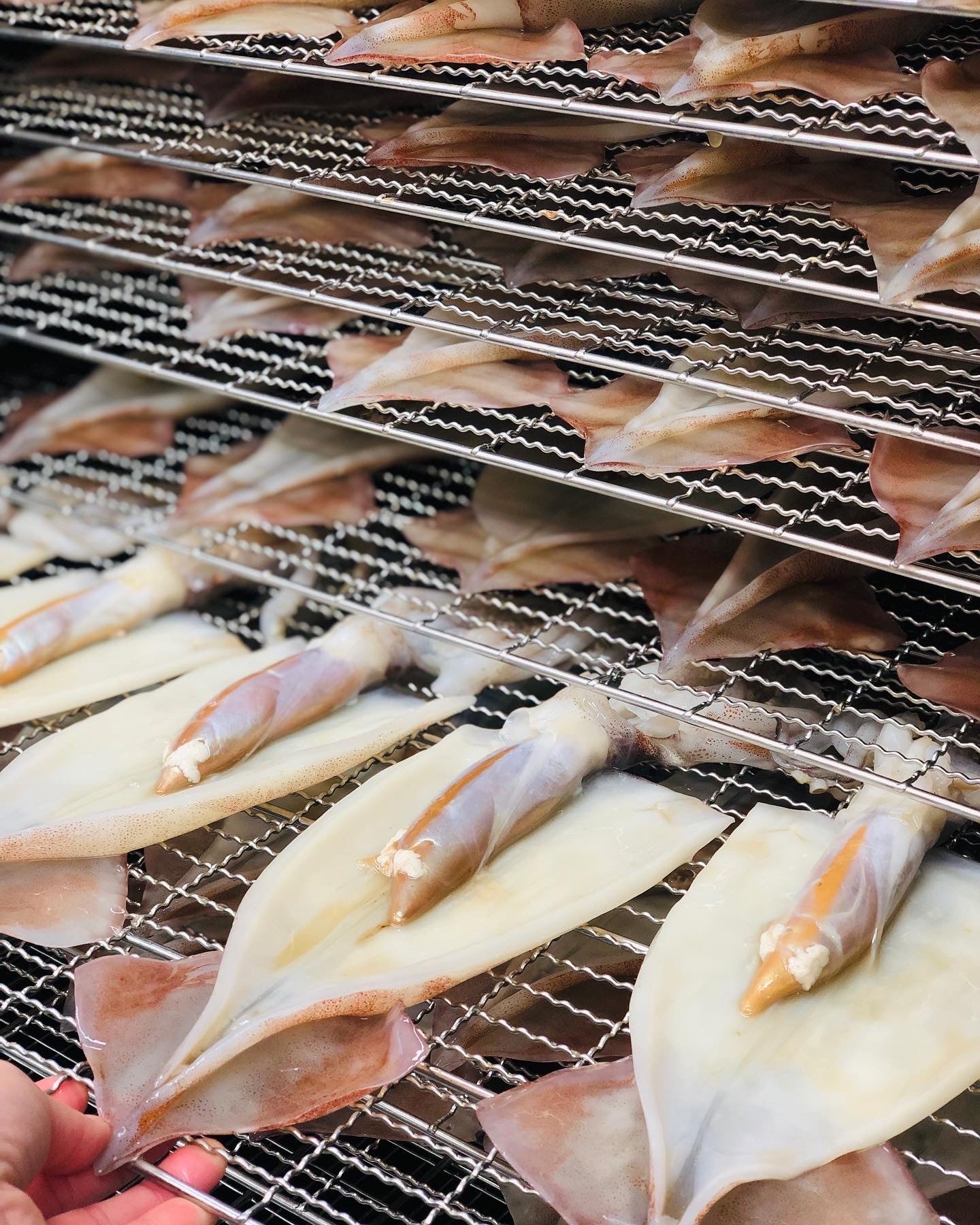 ◉予約商品　母の日ギフト！　おまかせ詰め合わせ　※5月8日発送予定　限定10セット