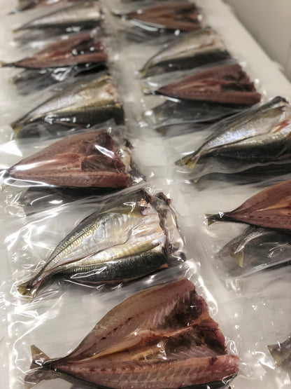 ★食べ応えの大ぶりサイズ！鯵の魚醤干し3枚　とれたて刺身用鯵で作る自家製魚醤の一夜干し　鮮度を感じる干物！