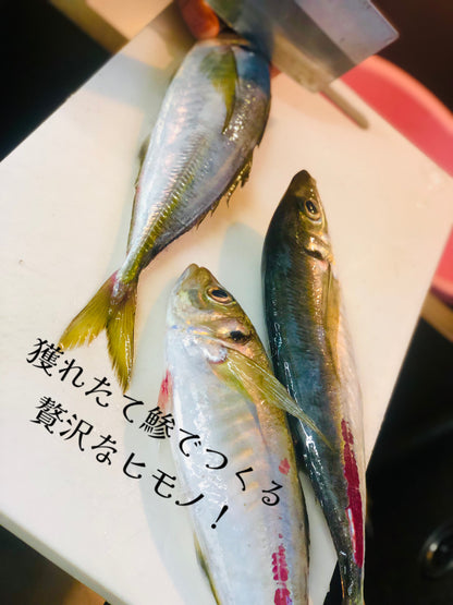 ★食べ応えの大ぶりサイズ！鯵の魚醤干し3枚　とれたて刺身用鯵で作る自家製魚醤の一夜干し　鮮度を感じる干物！