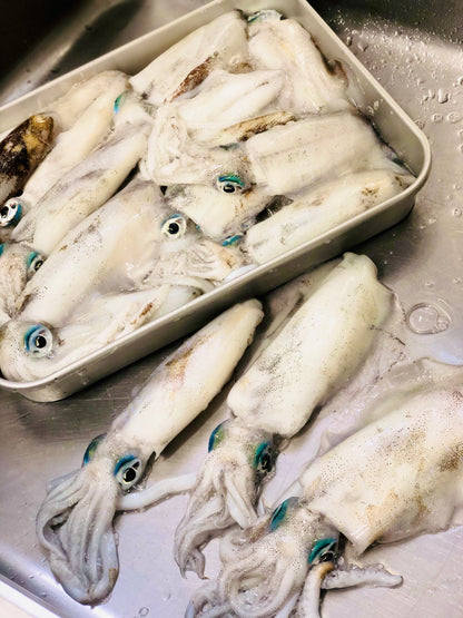 ◉10月〜旬です！イカの王様！アオリイカ自家製魚醤干し3枚（中小ミックス）　釣りもの　肝付仕上げ　　−60℃冷凍　