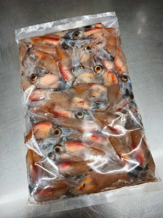 ◉おすすめ！今が旬です！富山ホタルイカ生冷凍　たっぷり500gパック　マイナス60℃冷凍品　海洋深層水洗浄済み　