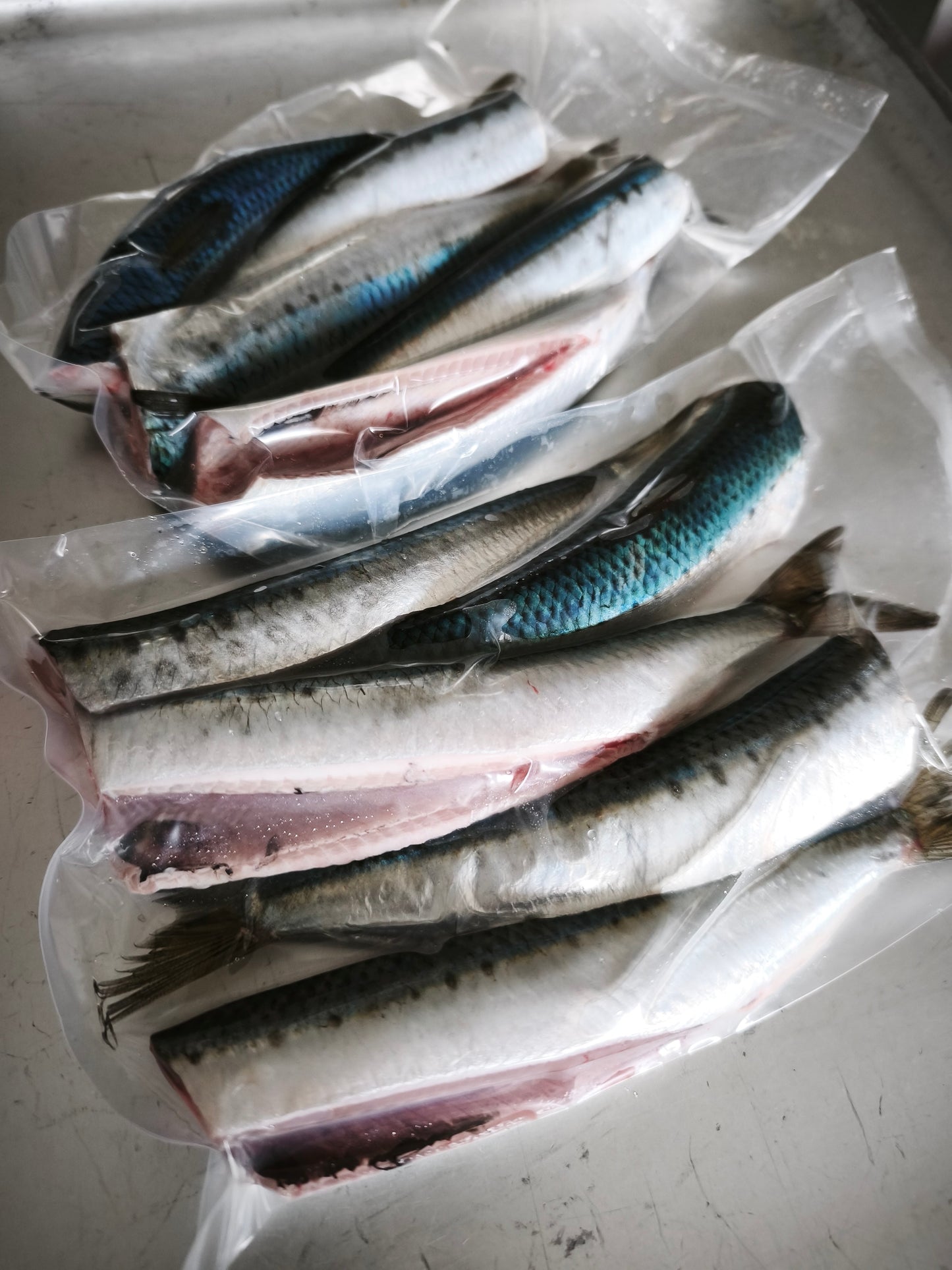 ◉おすすめ！旬です！海洋深層水〆！春の生イワシ5尾入　お刺身に！　獲れたてを頭と内臓外して−60℃冷凍！