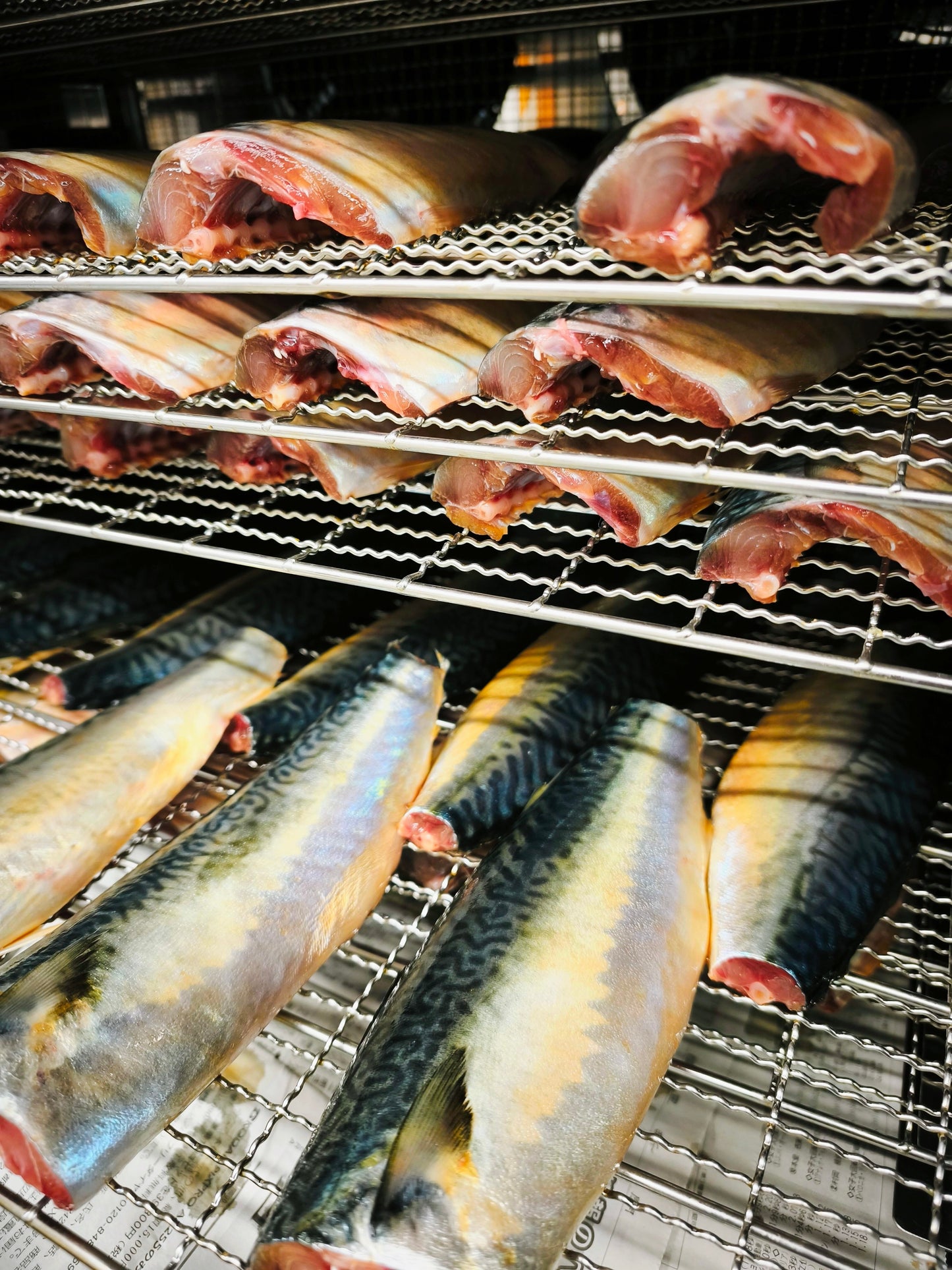 ◉おすすめ！今が旬です！鯖好きセット！　昆布仕込みのしめ鯖3pc・魚醤仕込みの干し鯖3pc 　大サイズ鯖使用　