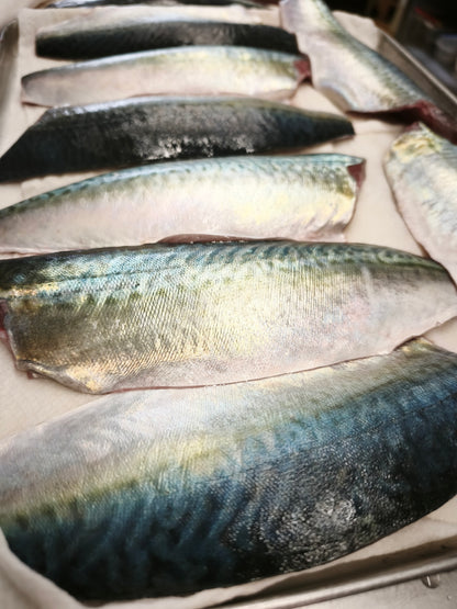 ◉おすすめ！今が旬です！鯖好きセット！　昆布仕込みのしめ鯖3pc・魚醤仕込みの干し鯖3pc 　大サイズ鯖使用　