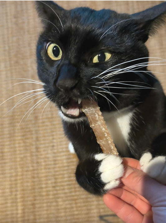 猫ちゃんおやつ　『エソ素干し』　お試し品　※猫飼いのお客様へのおまけ