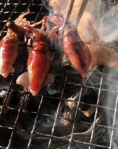 ◉おすすめ！今が旬です！富山ホタルイカ生180g×3パック　マイナス60℃冷凍品　海洋深層水洗浄品　まるごとお刺身でどうぞ！