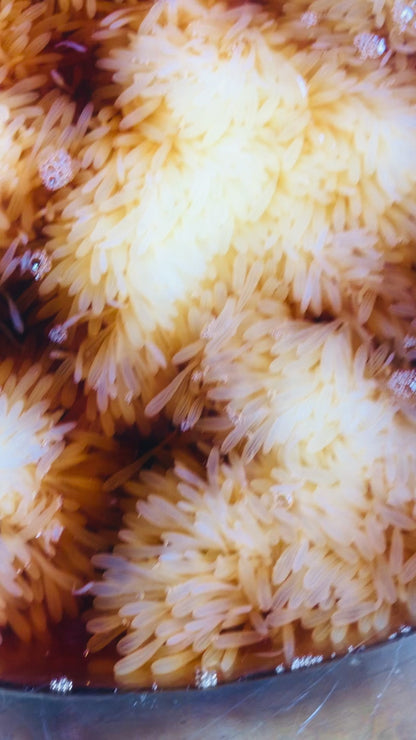 ◉水だこ昆布締め6pc 　富山朝日町獲れ！ 3つの部位の食感が味わえます！　タコの卵漬け珍味のおまけ付