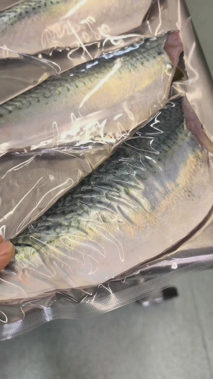 ◉おすすめ！今が旬です！鯖好きセット！　昆布仕込みのしめ鯖3pc・魚醤仕込みの干し鯖3pc 　大サイズ鯖使用　