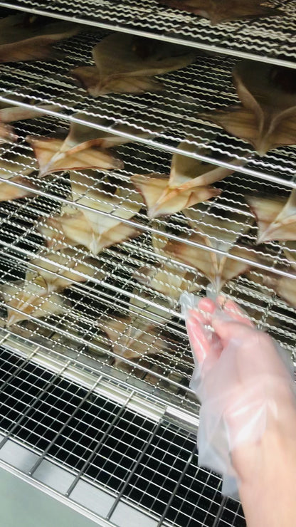 ◉人気！予約販売　まるごと肝付きスルメイカ一夜干し3枚　自家製魚醤仕込み　※3月以降発送予定　※送料込み商品
